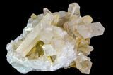 Quartz Crystal Cluster - Brazil #80931-5